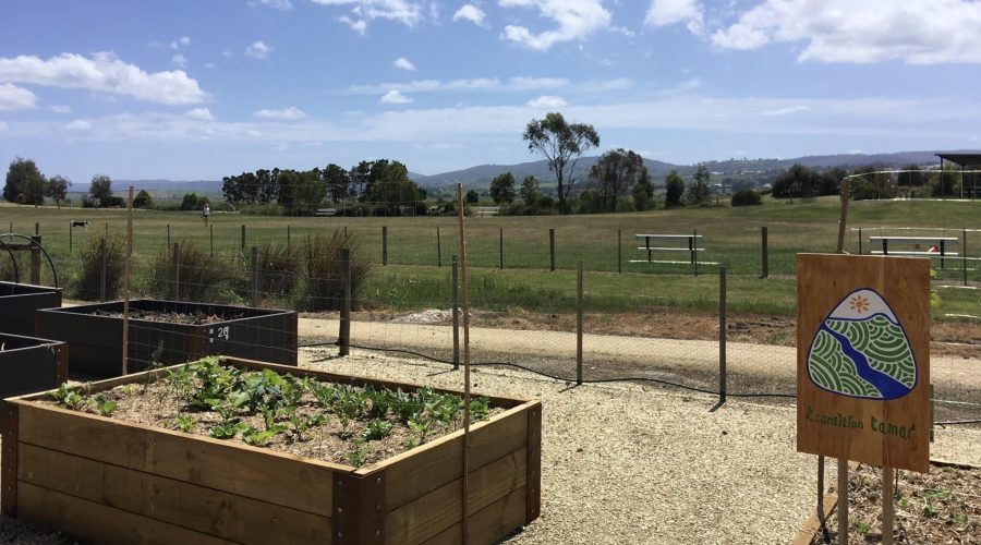 Local Community Digs “Beginning Food Gardening” Workshops