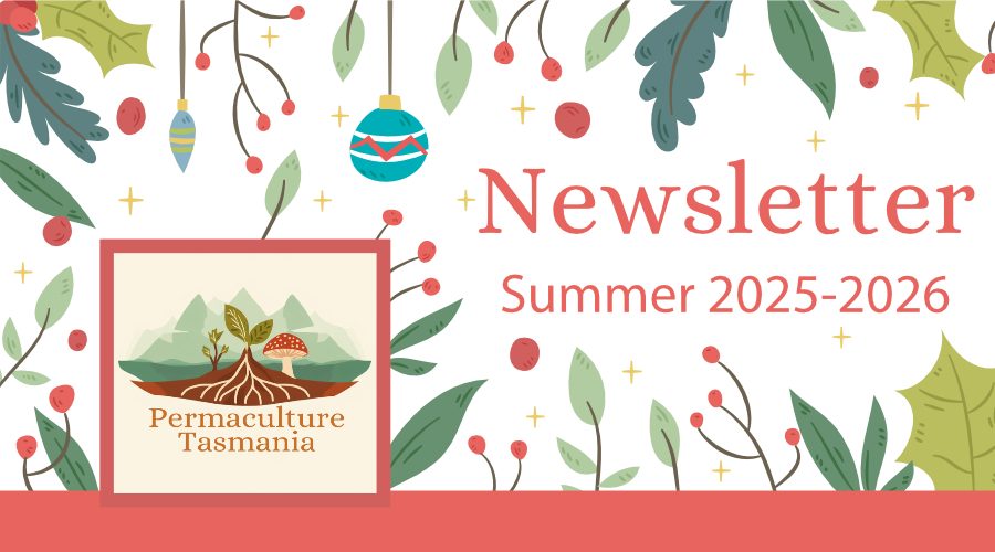Newsletter — Summer 2025-2026