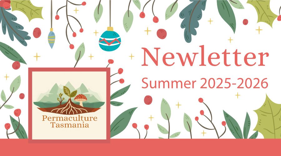 Newsletter — Summer 2025-2026