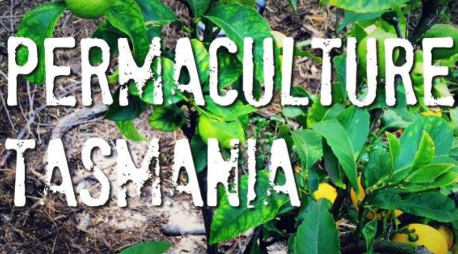 Newsletter — February 2019