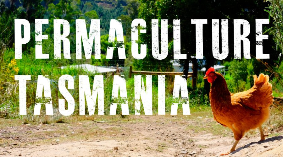 Newsletter — October 2020