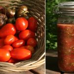 tomato salsa