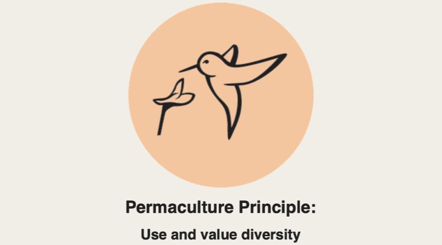 Permaculture principles in practice: use & value diversity