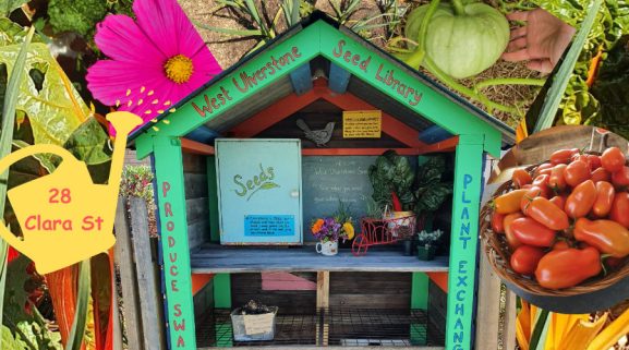 west-ulverstone-seed-library
